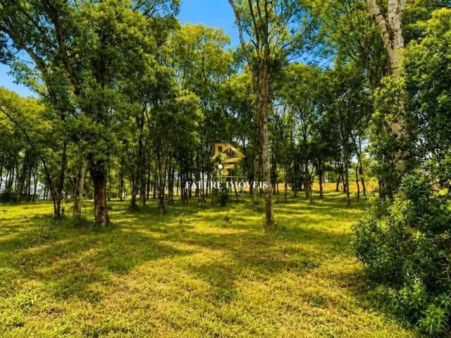 Terreno venda em Região Geográfica Imediata de Caxias do Sul, Caxias do Sul