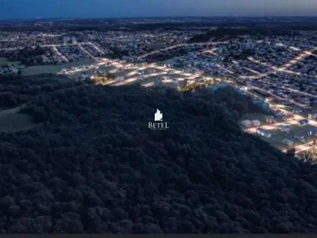 Terreno venda em Região Geográfica Imediata de Caxias do Sul, Caxias do Sul