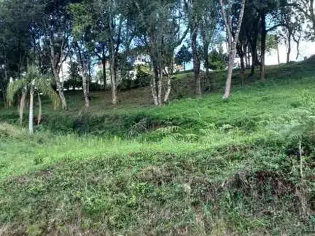 Terreno venda em Região Geográfica Imediata de Caxias do Sul, Caxias do Sul