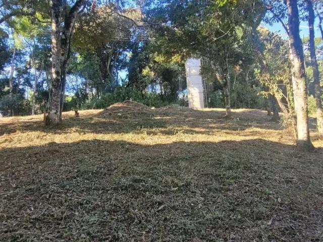 Terreno venda em Região Geográfica Imediata de Caxias do Sul, Caxias do Sul