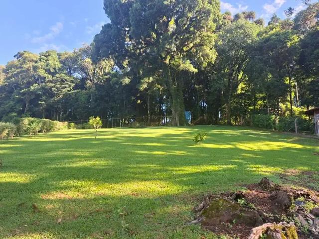 Terreno venda em Região Geográfica Imediata de Caxias do Sul, Caxias do Sul