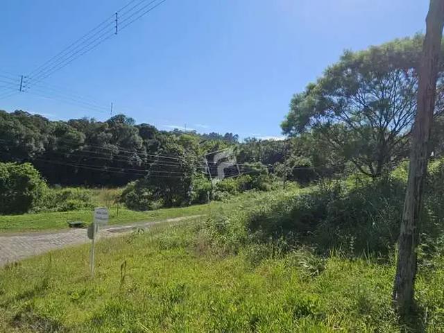 Terreno venda em Região Geográfica Imediata de Caxias do Sul, Caxias do Sul