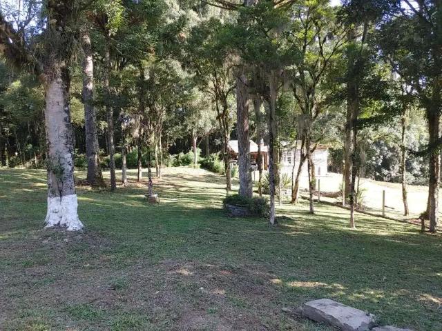 Terreno venda em Região Geográfica Imediata de Caxias do Sul, Caxias do Sul