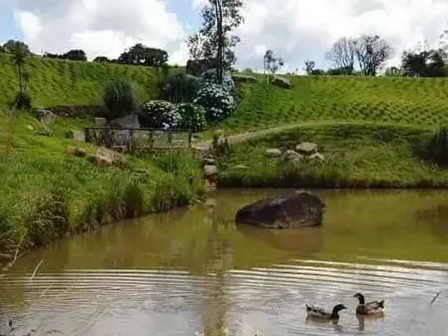 Terreno venda em Região Geográfica Imediata de Caxias do Sul, Caxias do Sul