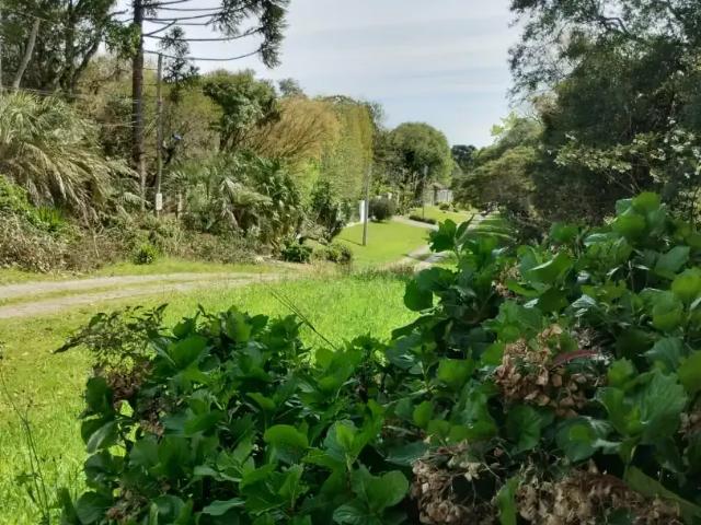 Terreno venda em Região Geográfica Imediata de Caxias do Sul, Caxias do Sul