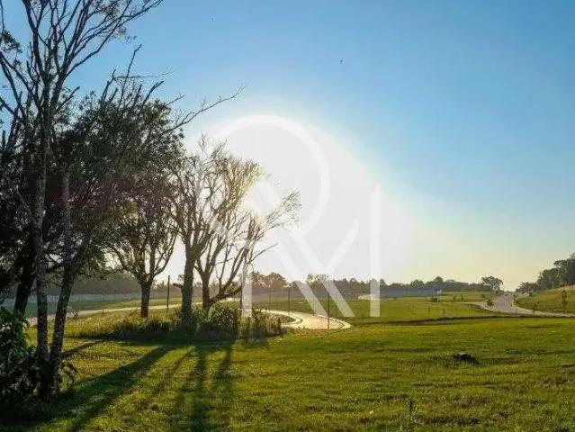 Terreno venda em Região Geográfica Imediata de Caxias do Sul, Caxias do Sul