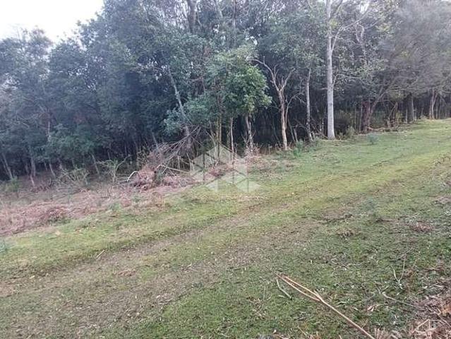 Terreno venda em Região Geográfica Imediata de Caxias do Sul, Caxias do Sul