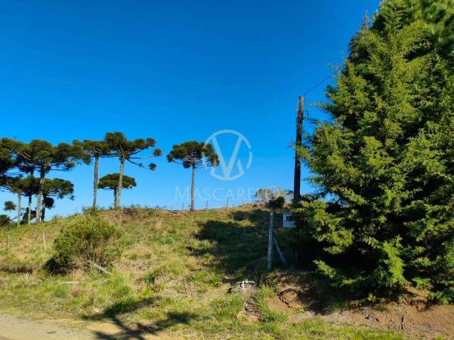 Terreno venda em Caxias do Sul, Região Geográfica Intermediária de Caxias do Sul