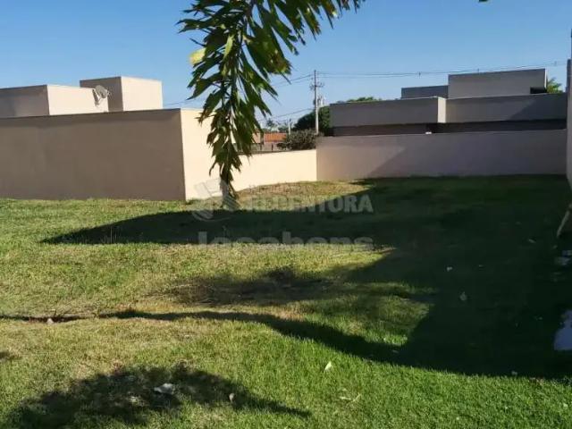 Terreno venda em Região Imediata de São José do Rio Preto, Região Metropolitana de São José do Rio Preto
