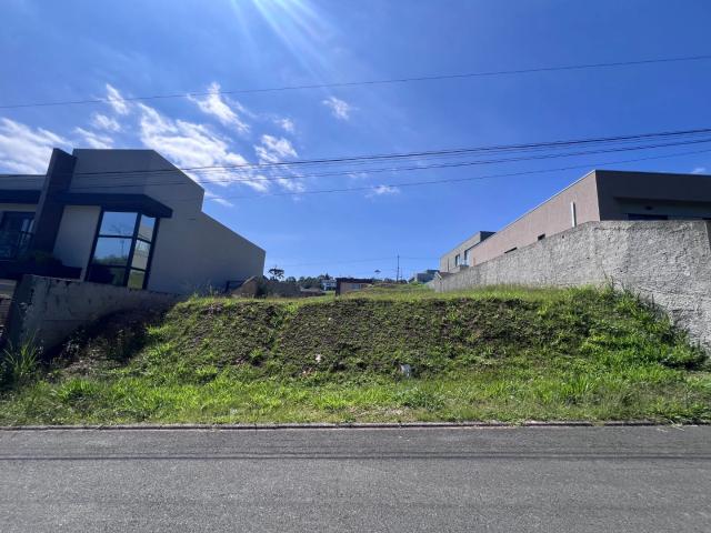 Terreno venda em Planta Santa Tereza, Colombo