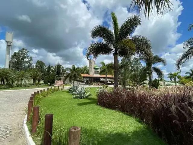 Terreno venda em Região Geográfica Imediata de Feira de Santana, Região Metropolitana de Feira de Santana