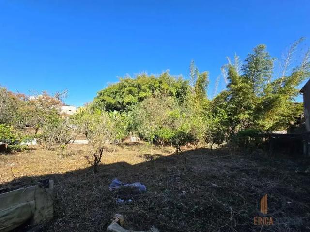 Terreno venda em Região Geográfica Imediata de Nova Prata - Guaporé, Nova Bassano