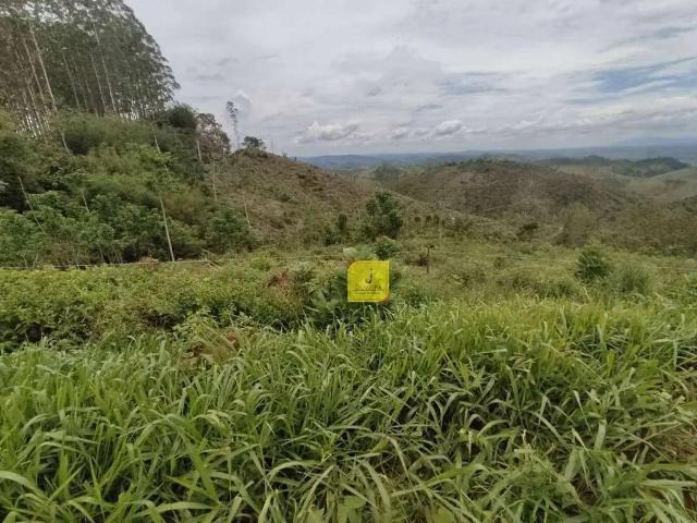 Terreno venda em Coronel Pacheco, Região Geográfica Intermediária de Juiz de Fora