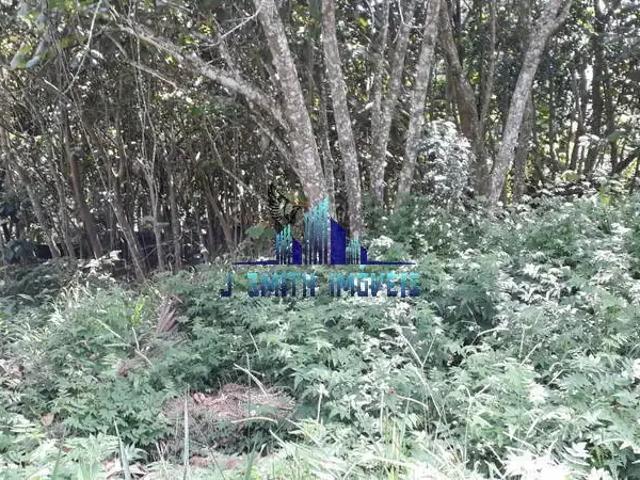 Terreno venda em Região Geográfica Imediata de Caxias do Sul, Gramado