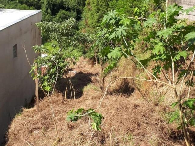 Terreno venda em Cotia