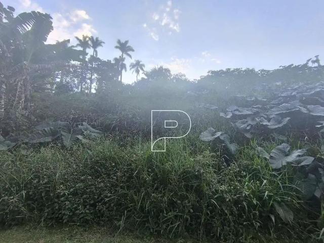 Terreno venda em Cotia