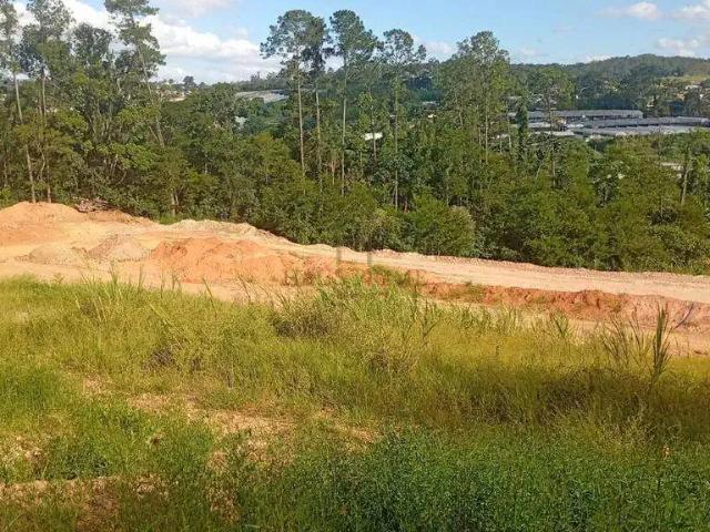 Terreno venda em Vila Santo Antônio do Portão, Cotia