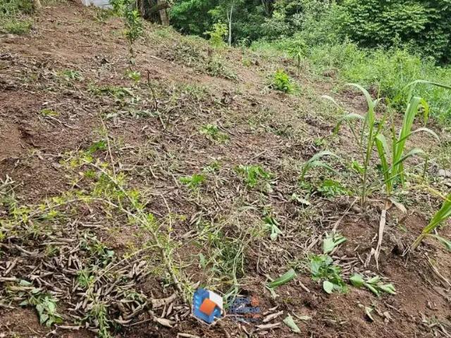 Terreno venda em Região Imediata de São Paulo, Região Metropolitana de São Paulo