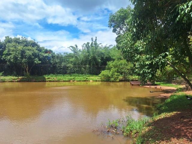 Terreno venda em Cravinhos