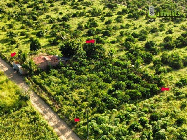 Terreno venda em Cruz das Almas, Centro