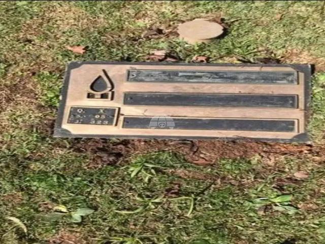 Terreno venda em Região Geográfica Imediata de Curitiba, Região Metropolitana de Curitiba