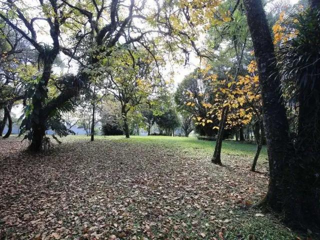 Terreno venda em Região Geográfica Imediata de Curitiba, Região Metropolitana de Curitiba