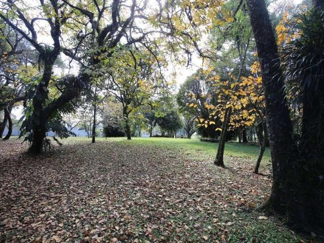 Terreno venda em Riviera, Curitiba
