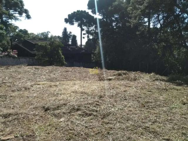 Terreno venda em Região Geográfica Imediata de Curitiba, Região Metropolitana de Curitiba