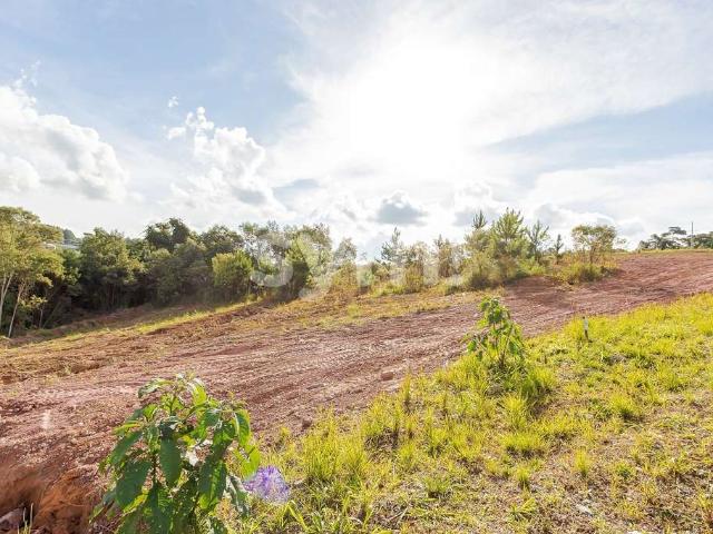 Terreno venda em Região Geográfica Imediata de Curitiba, Região Metropolitana de Curitiba