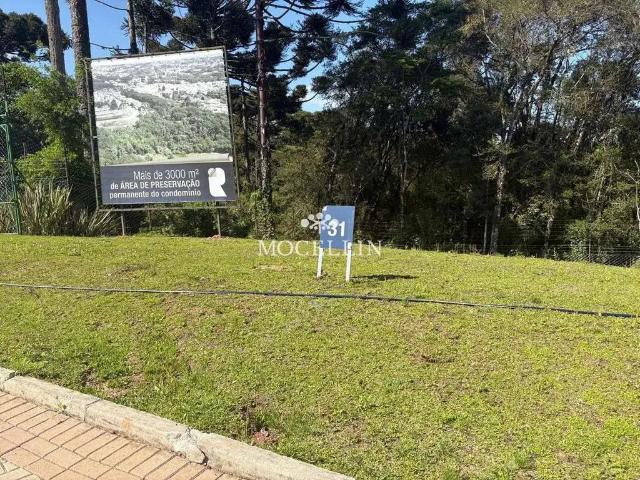 Terreno venda em Região Geográfica Imediata de Curitiba, Região Metropolitana de Curitiba
