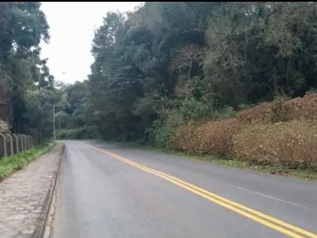 Terreno venda em Região Geográfica Imediata de Curitiba, Região Metropolitana de Curitiba