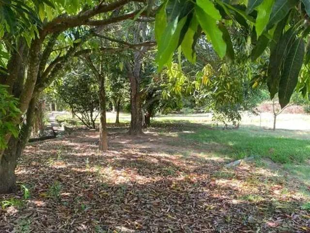 Terreno venda em Região Imediata de Jaú, Dois Corregos