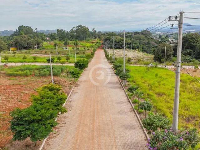 Terreno venda em Região Geográfica Imediata de Novo Hamburgo - São Leopoldo, Região Metropolitana de Porto Alegre