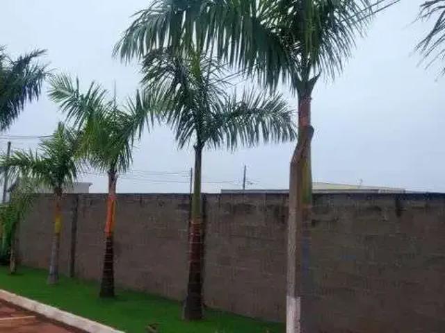 Terreno venda em Região Geográfica Imediata de Maringá, Doutor Camargo