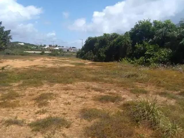 Terreno venda em Região Geográfica Imediata de Alagoinhas, Entre Rios
