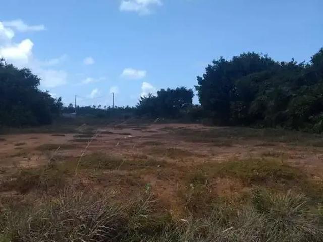Terreno venda em Região Geográfica Imediata de Alagoinhas, Entre Rios