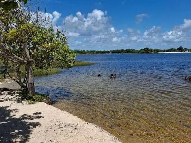 Terreno venda em Região Geográfica Imediata de Alagoinhas, Entre Rios