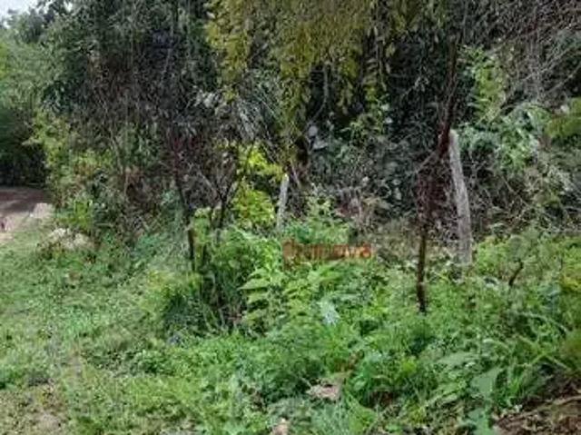 Terreno venda em Subaúma, Entre Rios