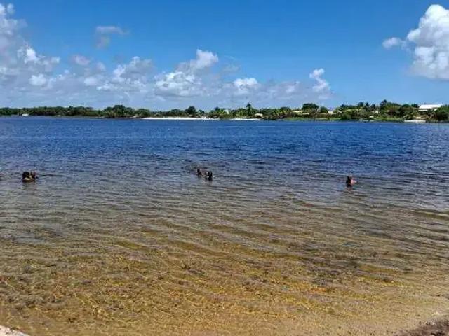 Terreno venda em Região Geográfica Imediata de Alagoinhas, Entre Rios