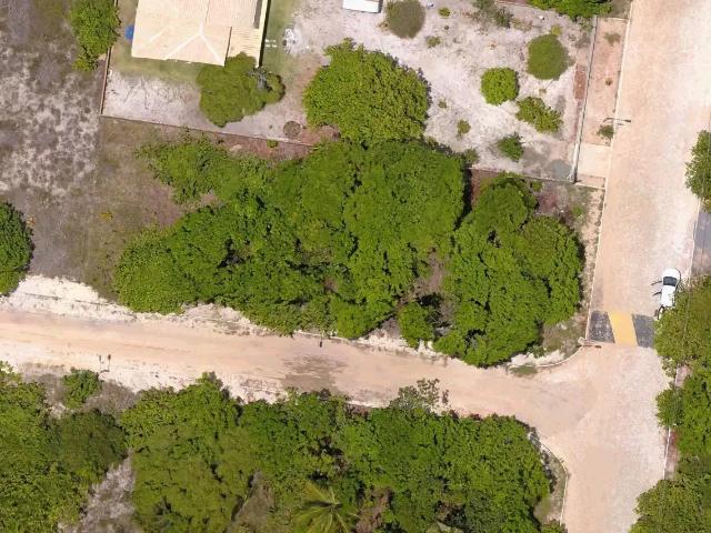 Terreno venda em Região Geográfica Imediata de Alagoinhas, Entre Rios