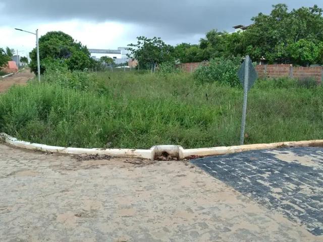 Terreno venda em Região Geográfica Imediata de Alagoinhas, Entre Rios
