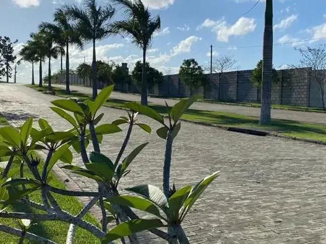 Terreno venda em Região Geográfica Imediata de Eunápolis - Porto Seguro, Eunápolis