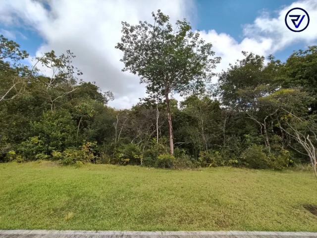 Terreno venda em Santa Clara, Eusébio