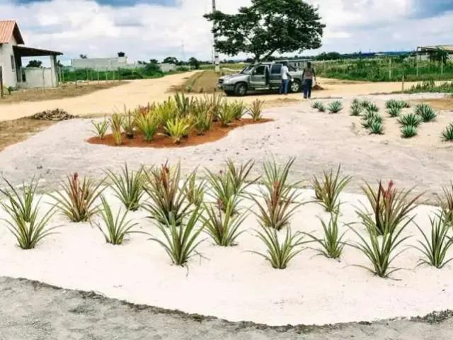 Terreno venda em Região Geográfica Imediata de Feira de Santana, Região Metropolitana de Feira de Santana