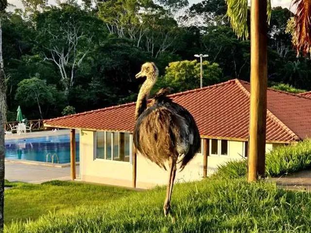 Terreno venda em Região Geográfica Imediata de Feira de Santana, Região Metropolitana de Feira de Santana
