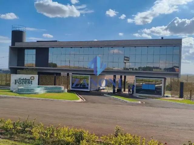 Terreno venda em Região Geográfica Imediata de Maringá, Floresta