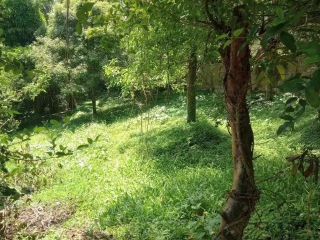 Terreno venda em Região Geográfica Imediata de Florianópolis, Desterro