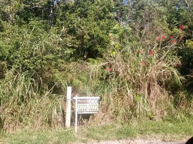 Terreno venda em Região Geográfica Imediata de Florianópolis, Desterro