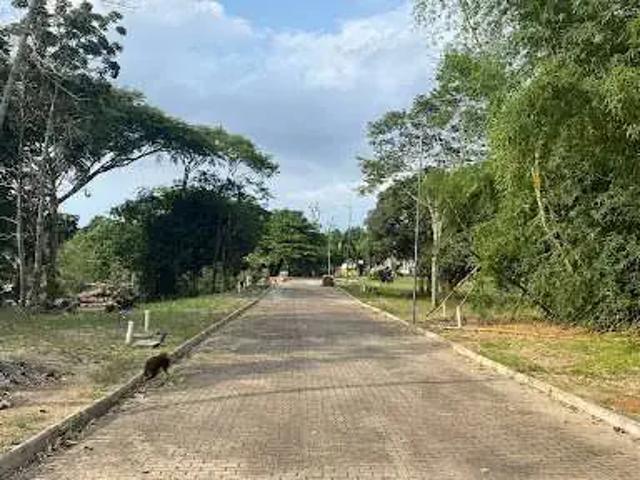 Terreno venda em Região Geográfica Imediata de Florianópolis, Desterro