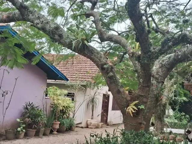 Terreno venda em Região Geográfica Imediata de Florianópolis, Desterro